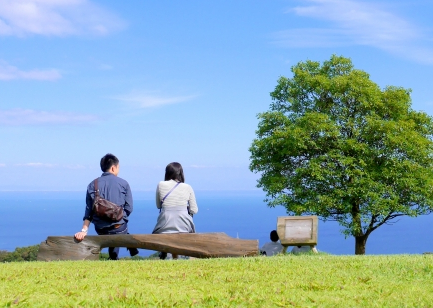 電話占いで当たると人気の占いをしよう！恋愛・仕事運を占うなら【エンジェルガーデン】